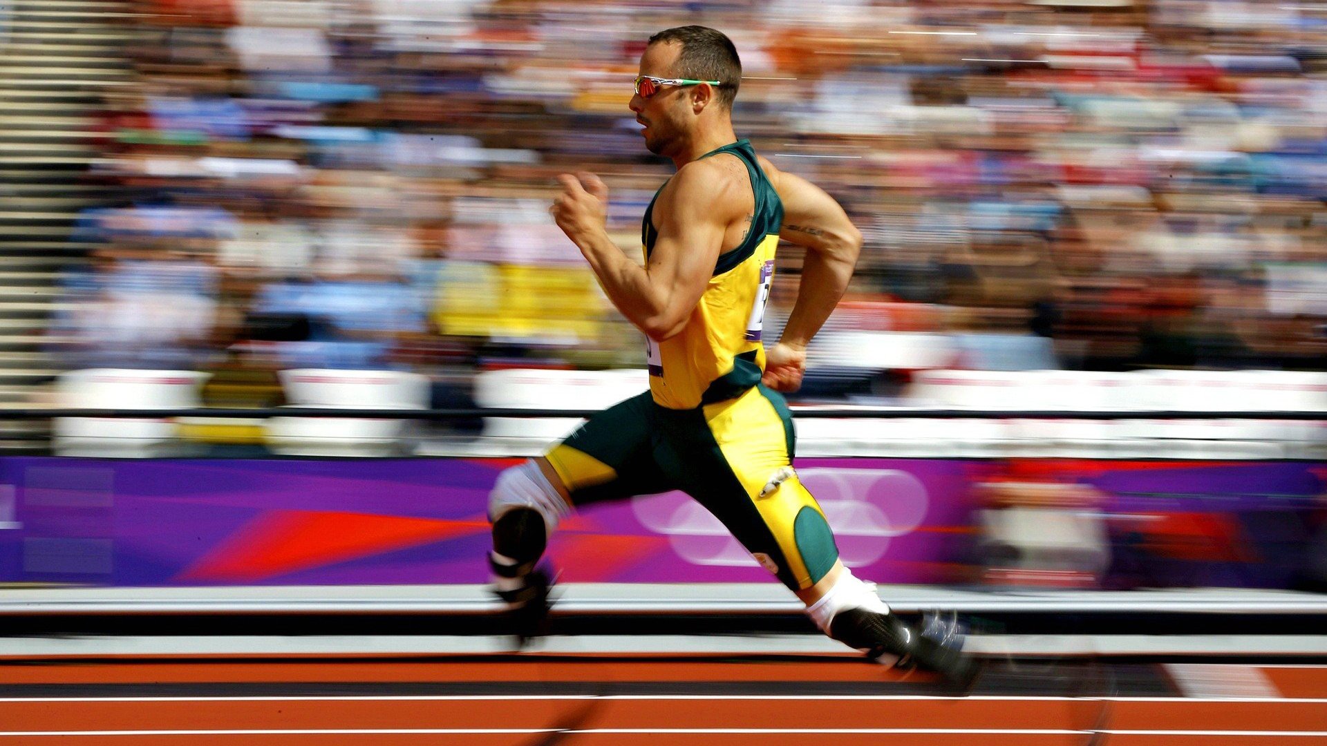 世界体操锦标赛，优雅与力量的完美结合，世界体操锦标赛冠军