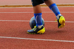 爱游戏入口-蛙泳对决奥地利游出新速度，奥运会蛙游泳决赛视频